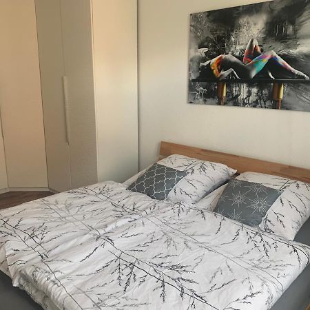 Grosse Moderne Ferienwohnung, Zentrale Ruhige Lage Кассель Экстерьер фото
